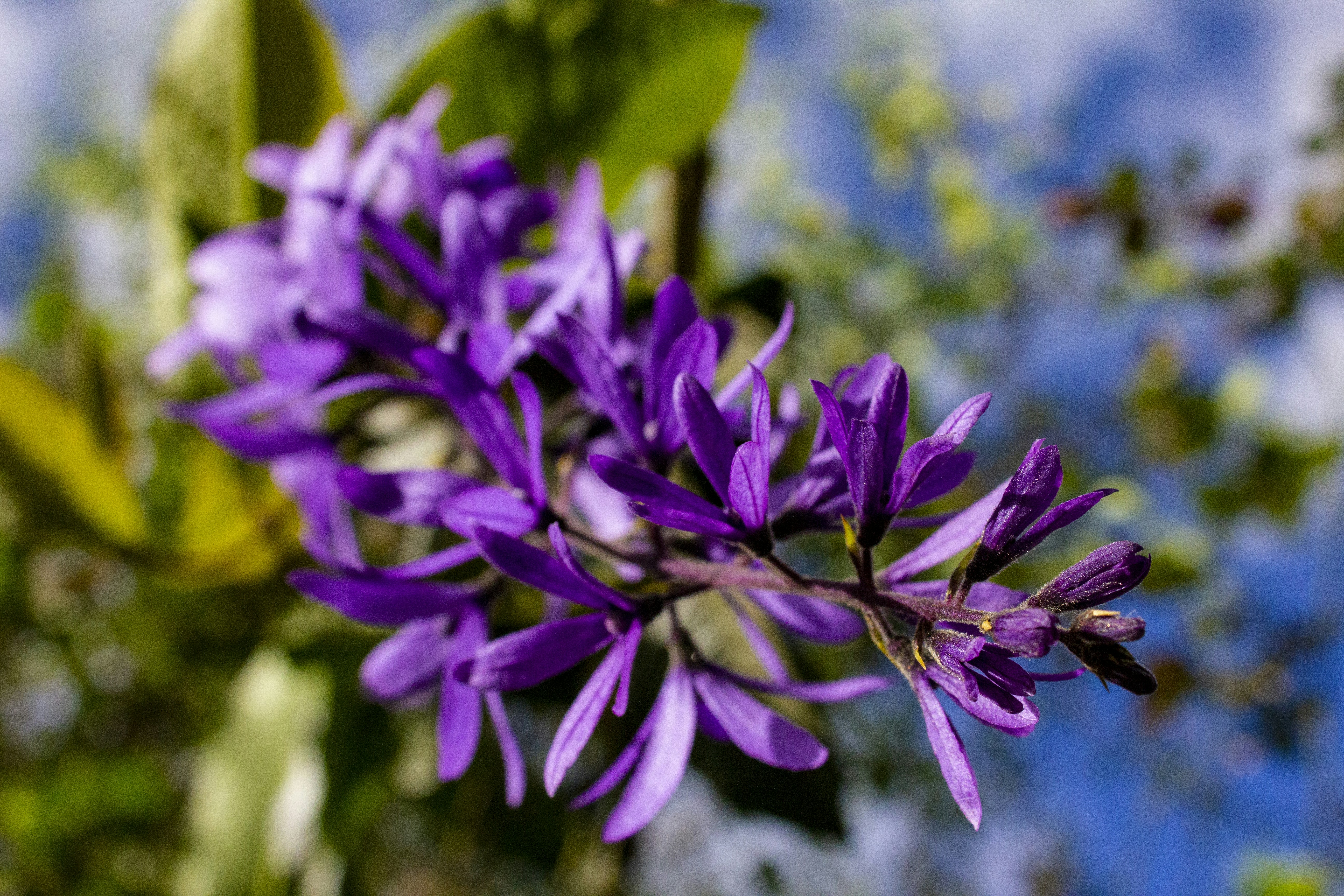 Photo by robincanfield