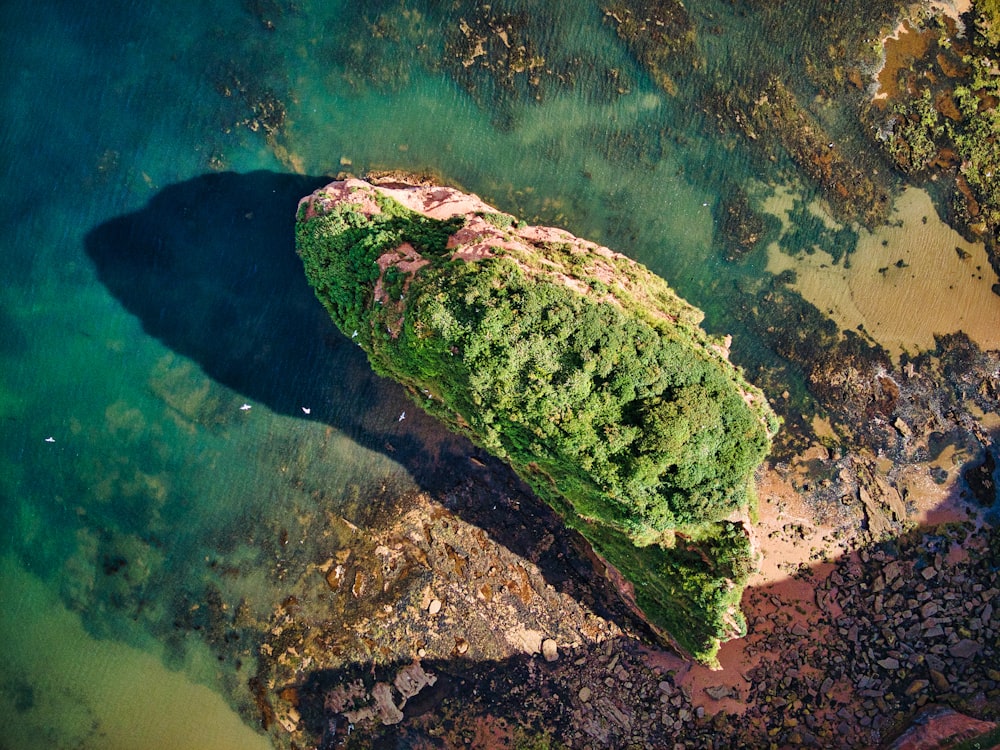 brown and green rock on water