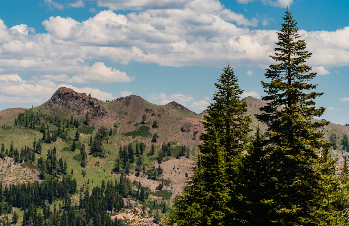 Rocky peaks above green slopes and evergreen trees in Olympic Valley, under white clouds