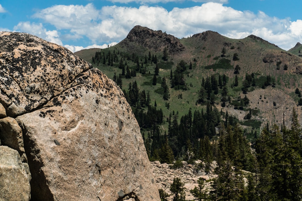 green pine trees on mountain during daytime