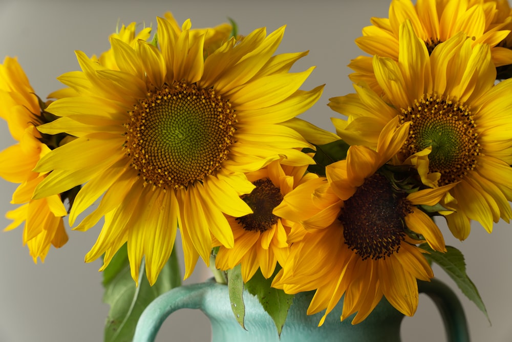 girasol sobre jarrón de cerámica verde