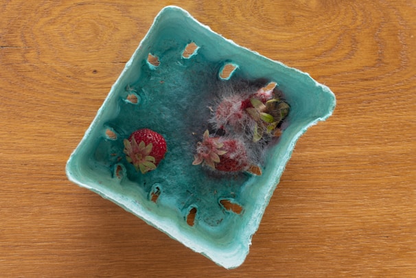 A blue cardboard container holds strawberries with visible mold growth. The once fresh strawberries are now covered in gray and white mold, giving them a decaying appearance. The container rests on a wooden surface with a grainy texture.