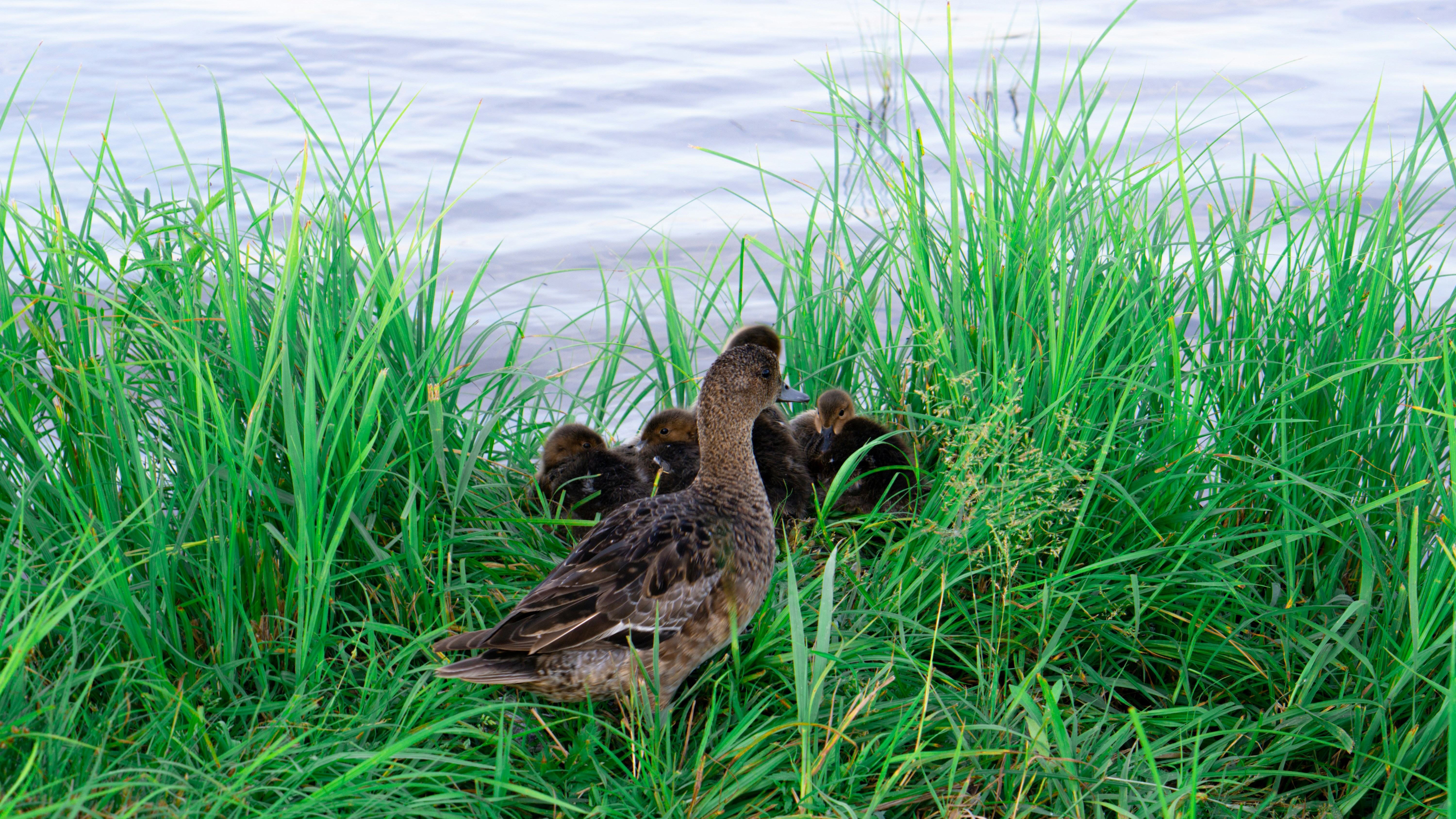 Photo by antohakraev