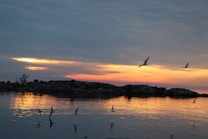 A serene landscape captures the stillness of a water body reflecting the warm hues of a sunset. Silhouettes of low-lying islands appear in the distance, while several birds glide effortlessly across the sky and near the water, adding a dynamic element to the otherwise tranquil scene.