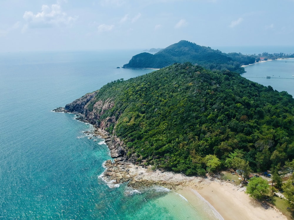 green trees on mountain beside sea during daytime