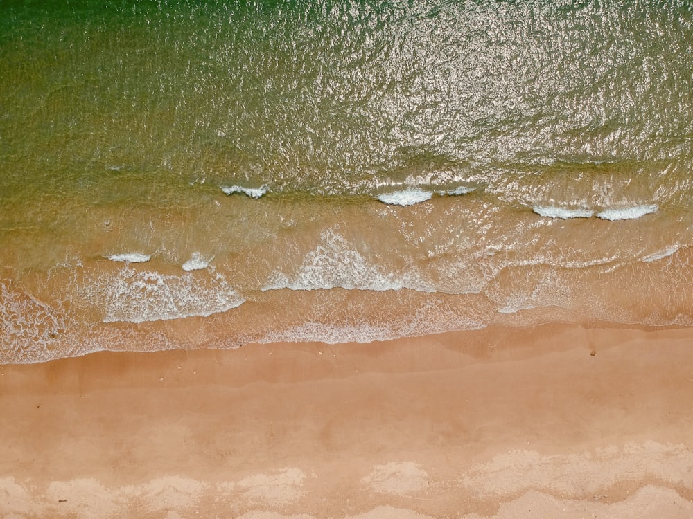 green grass near brown sand