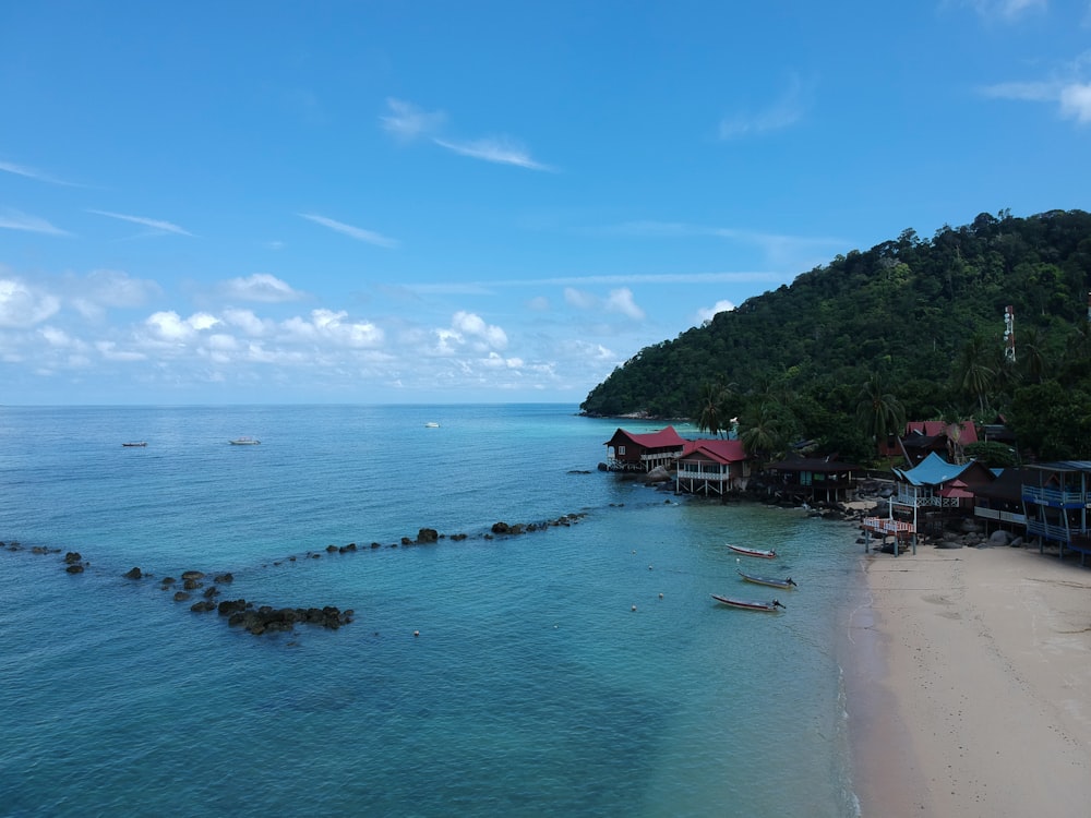 people on beach during daytime