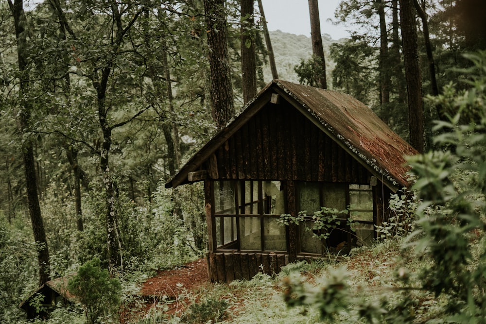 森の中の茶色の木造家屋