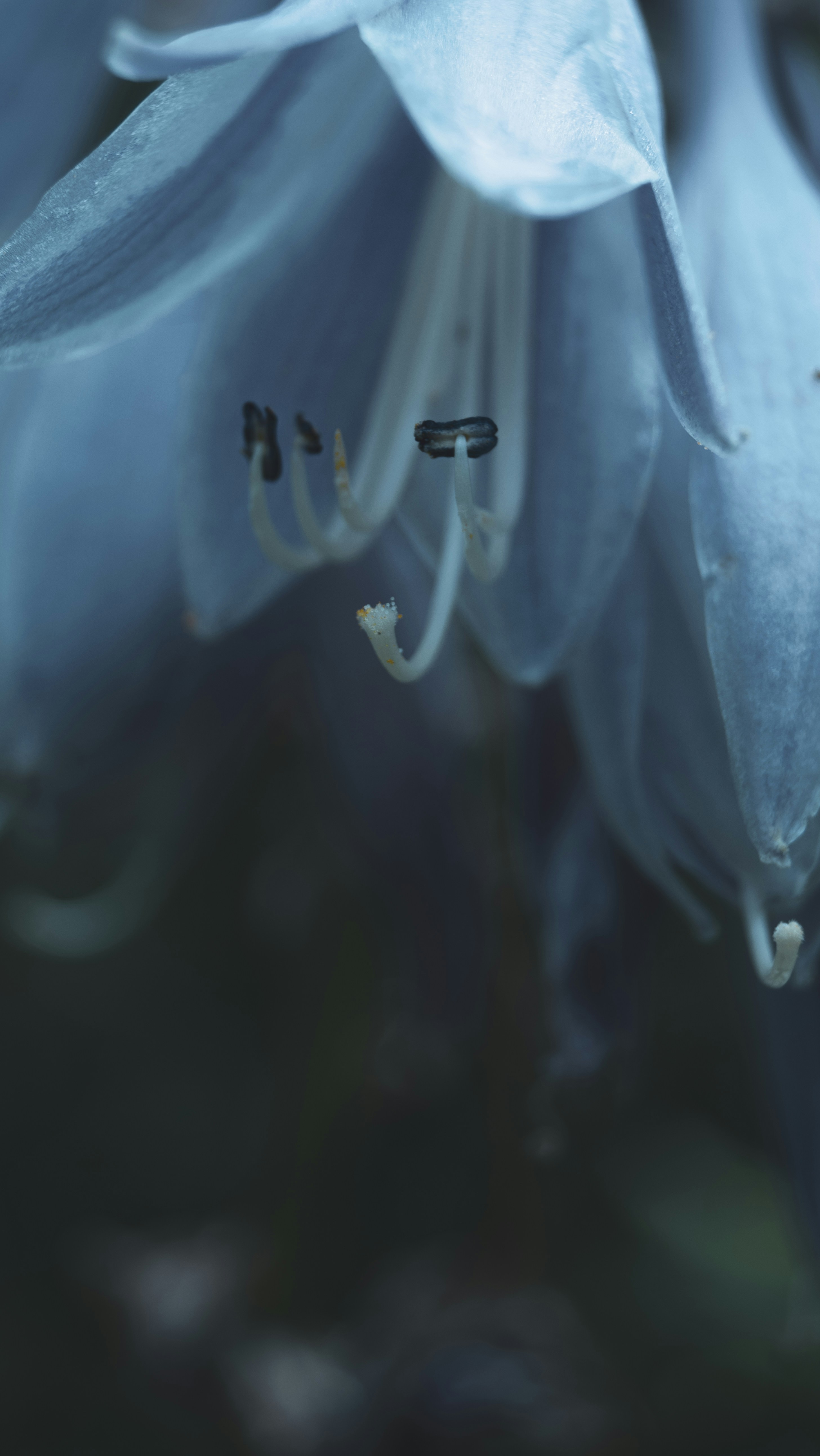 Photo by considerateagency