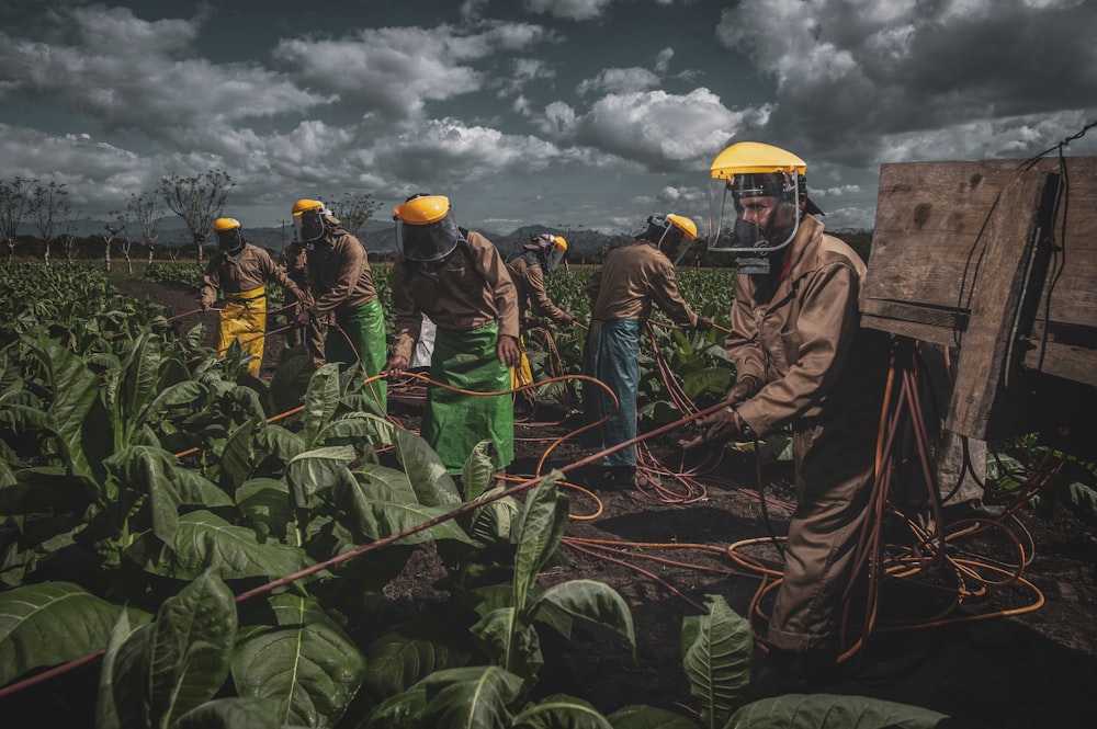 grupo de hombres en uniforme verde y amarillo de pie en el campo de hierba verde durante el día