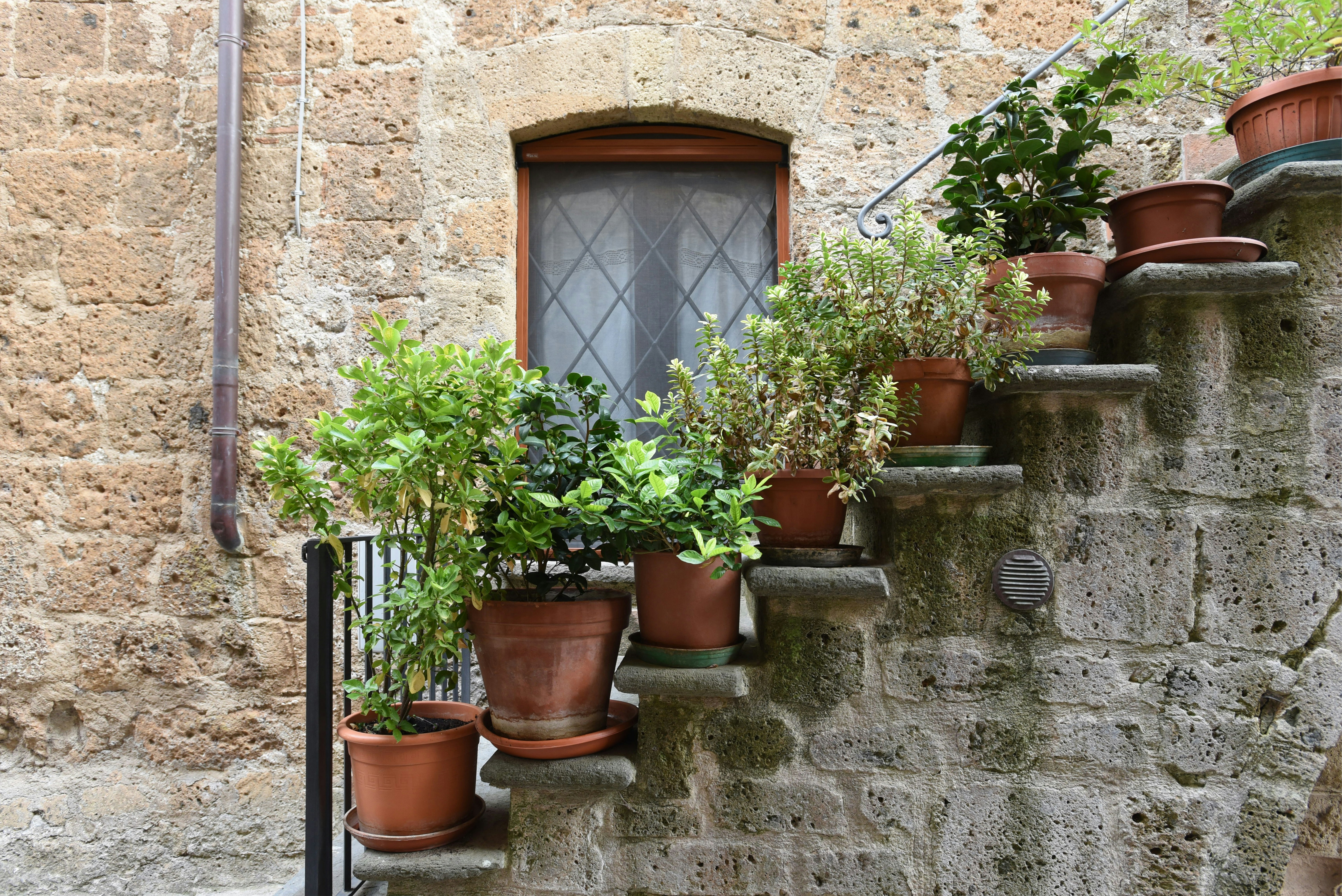 Photo by tommaomaoer