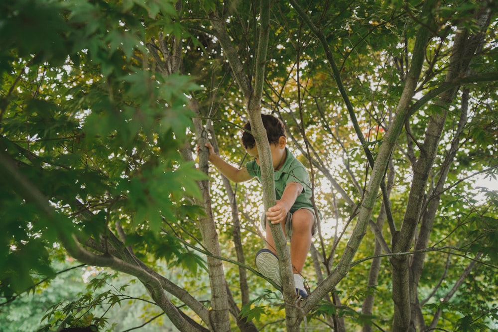 昼間、茶色の木の枝に座っている緑色のタンクトップと青いデニムのショートパンツを着た女性