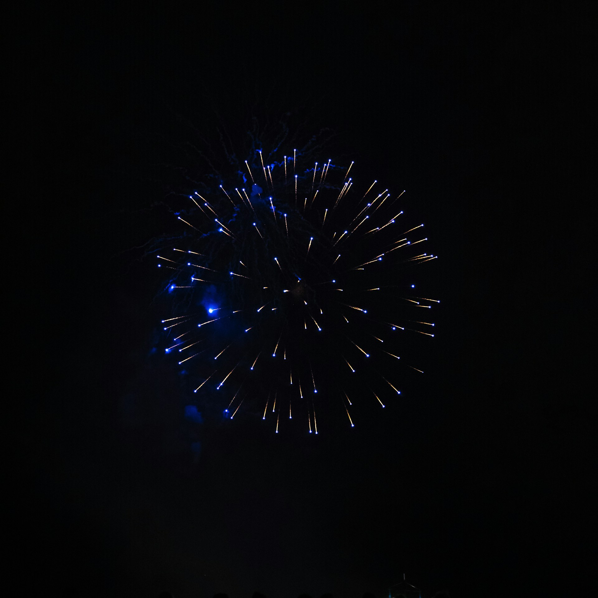 a large fireworks is lit up in the dark sky