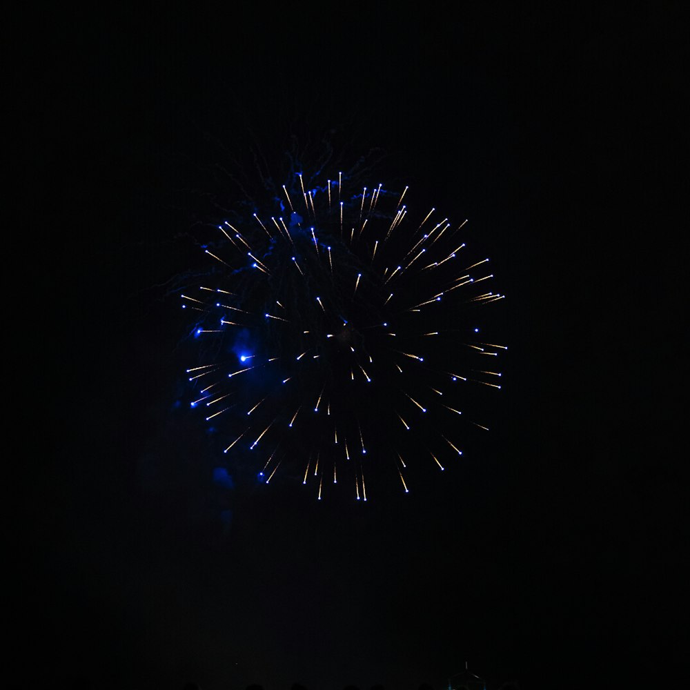 a large fireworks is lit up in the dark sky