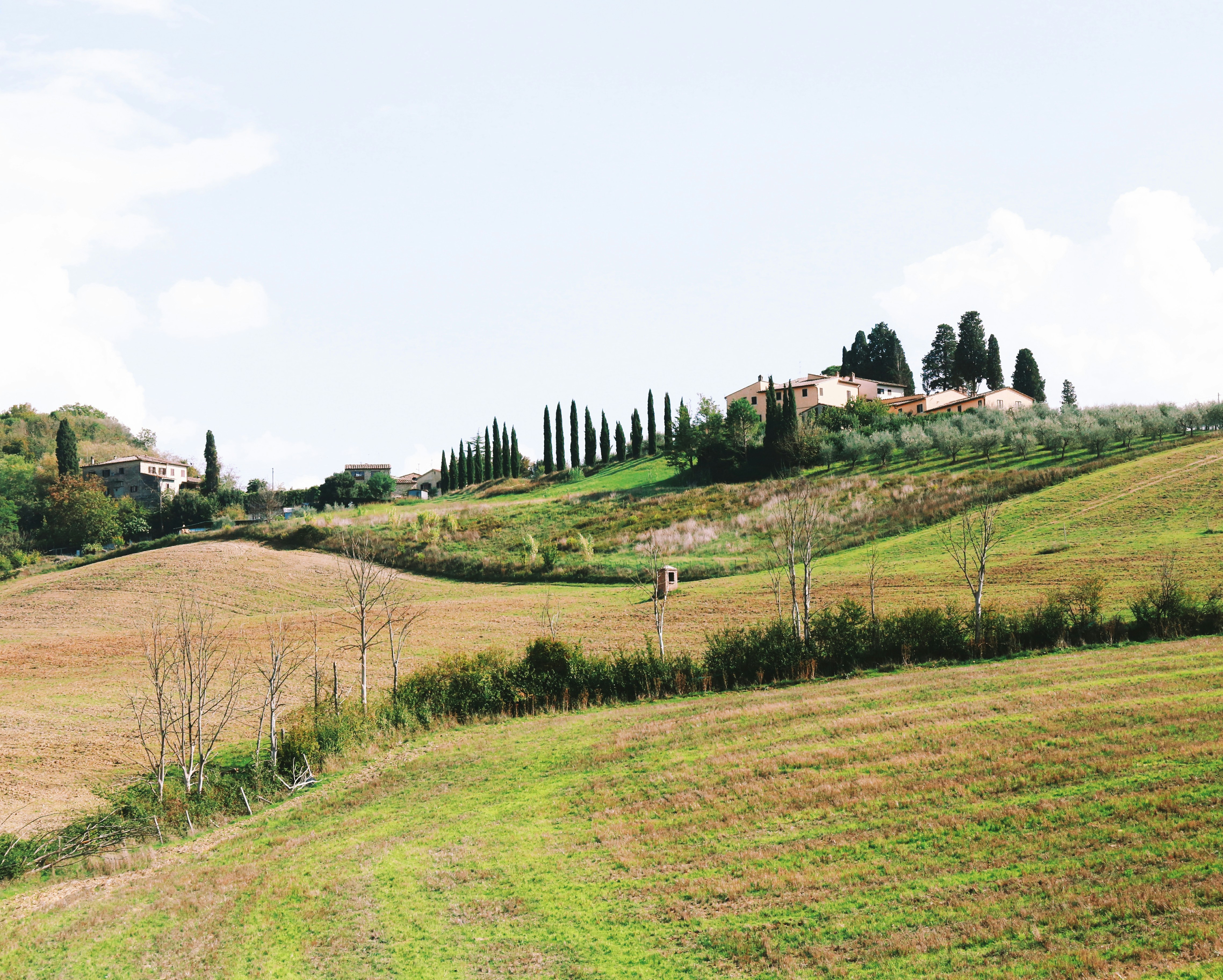 Photo by tommaomaoer