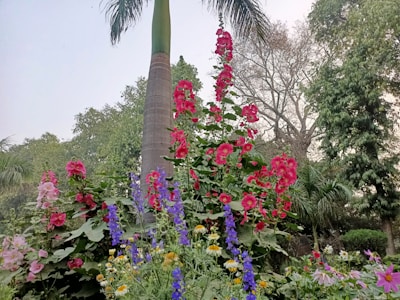 A lush garden scene with a variety of vibrant flowers in full bloom. Tall, pink hollyhocks stand prominently against a backdrop of green foliage, accompanied by clusters of purple and yellow flowers. A tall palm tree rises in the center, surrounded by other leafy trees and shrubs, creating a serene and natural setting.