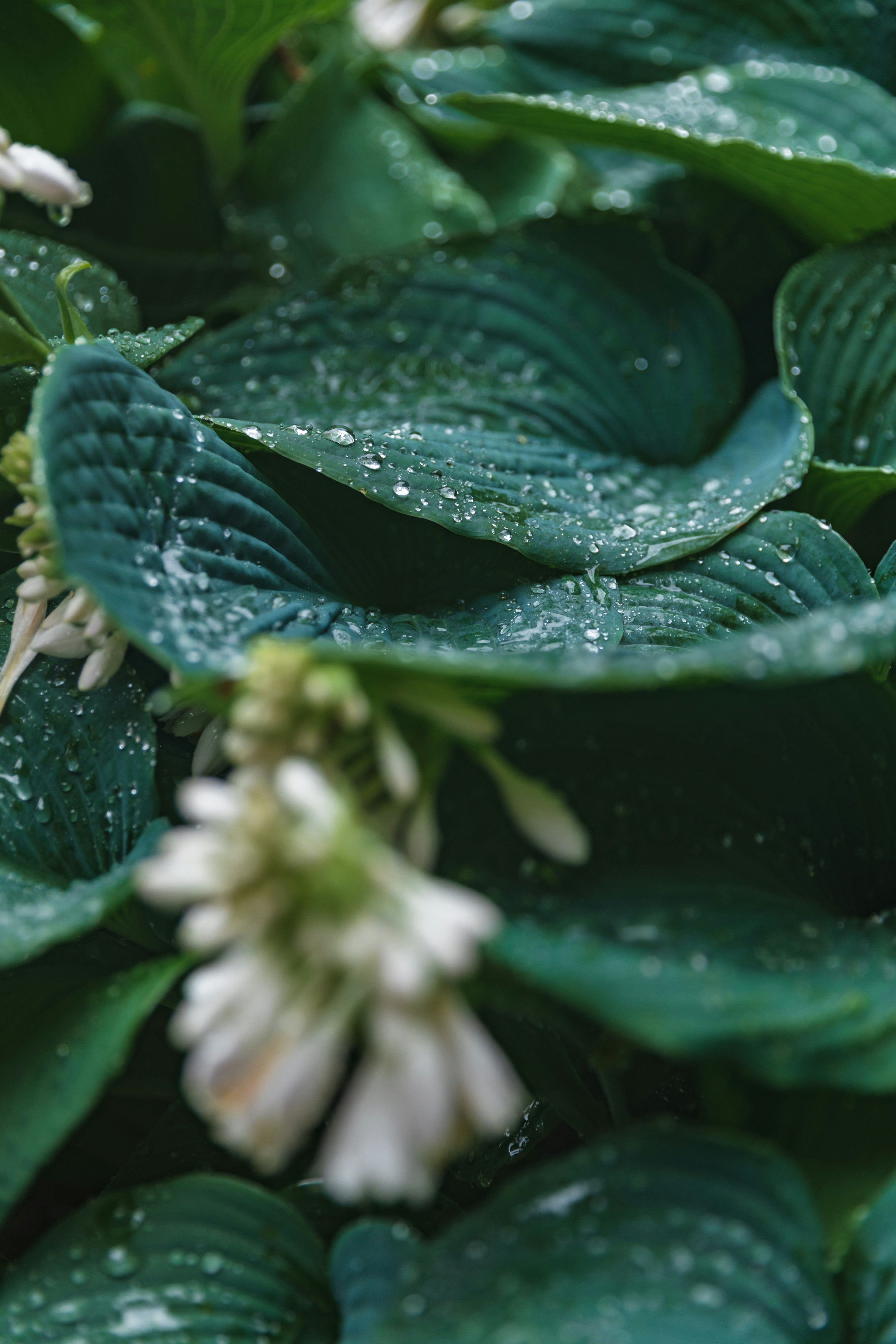 Photo by thephotographermom