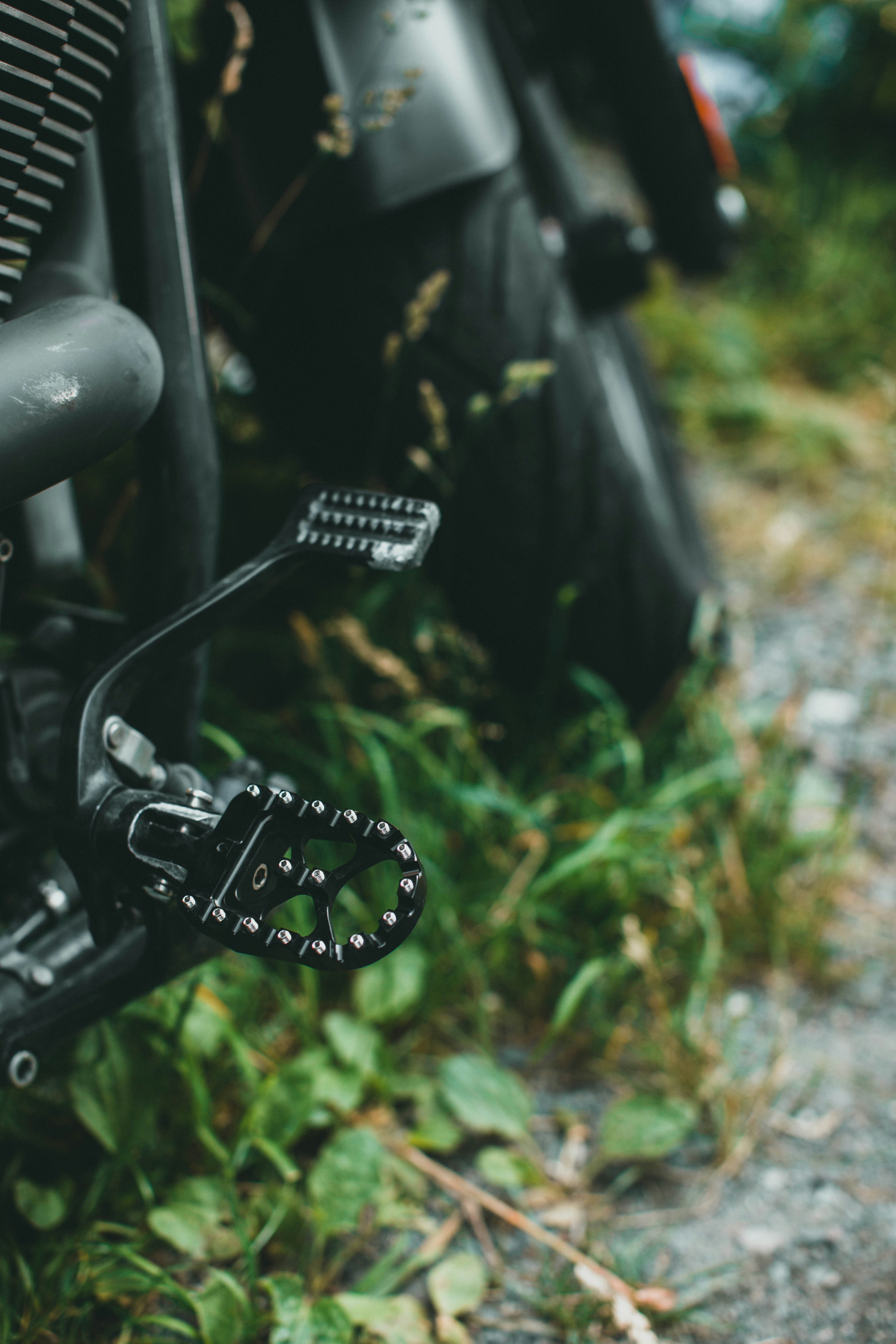 Photo by theshuttervision