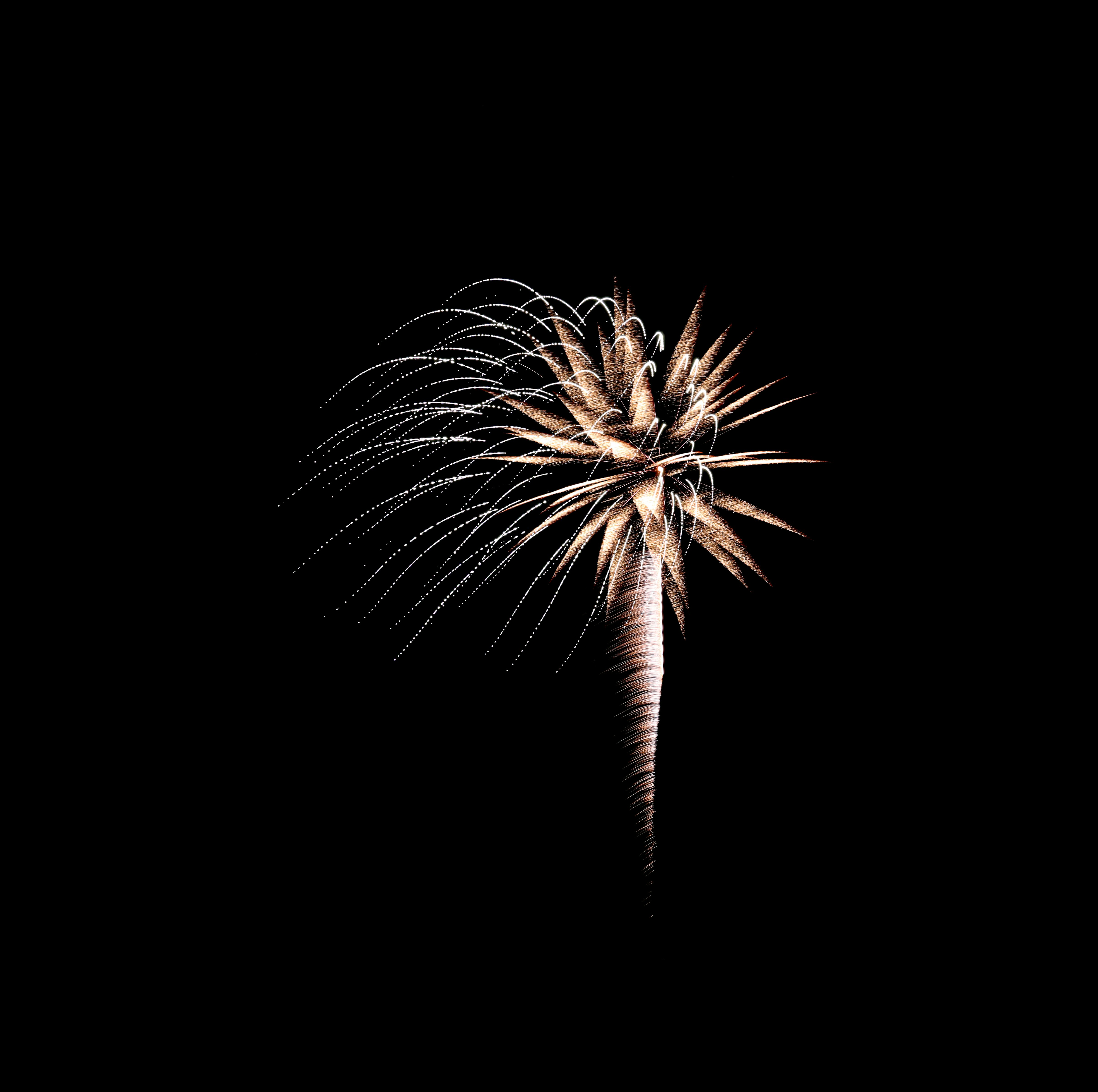 brown and white fireworks in the sky
