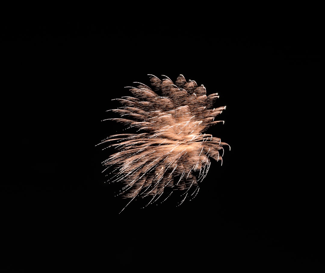 brown and white plant in black background