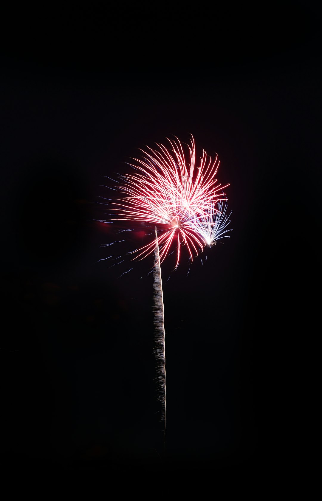 red and white fireworks in dark sky