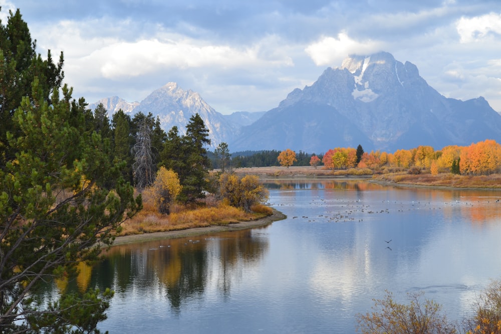 green trees near lake under white clouds and blue sky during daytime