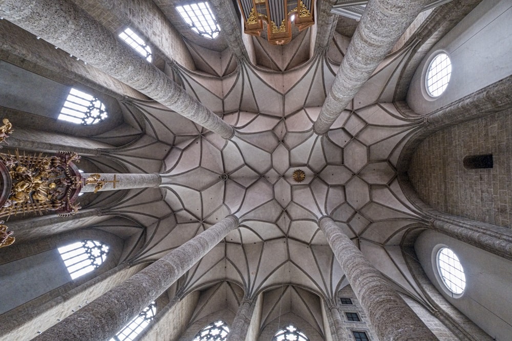 white and brown ceiling with gold and white ceiling