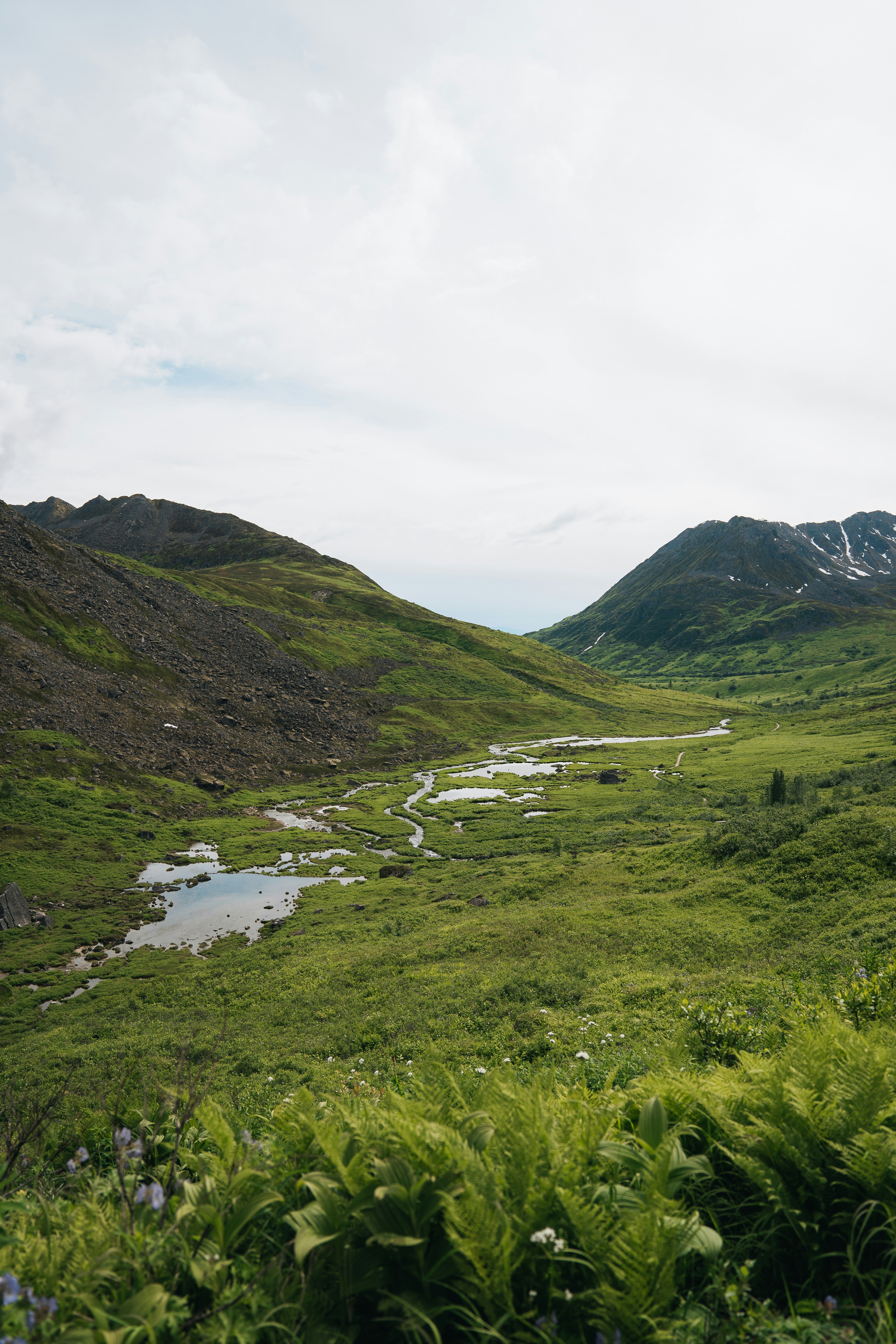 Photo by taylooorann