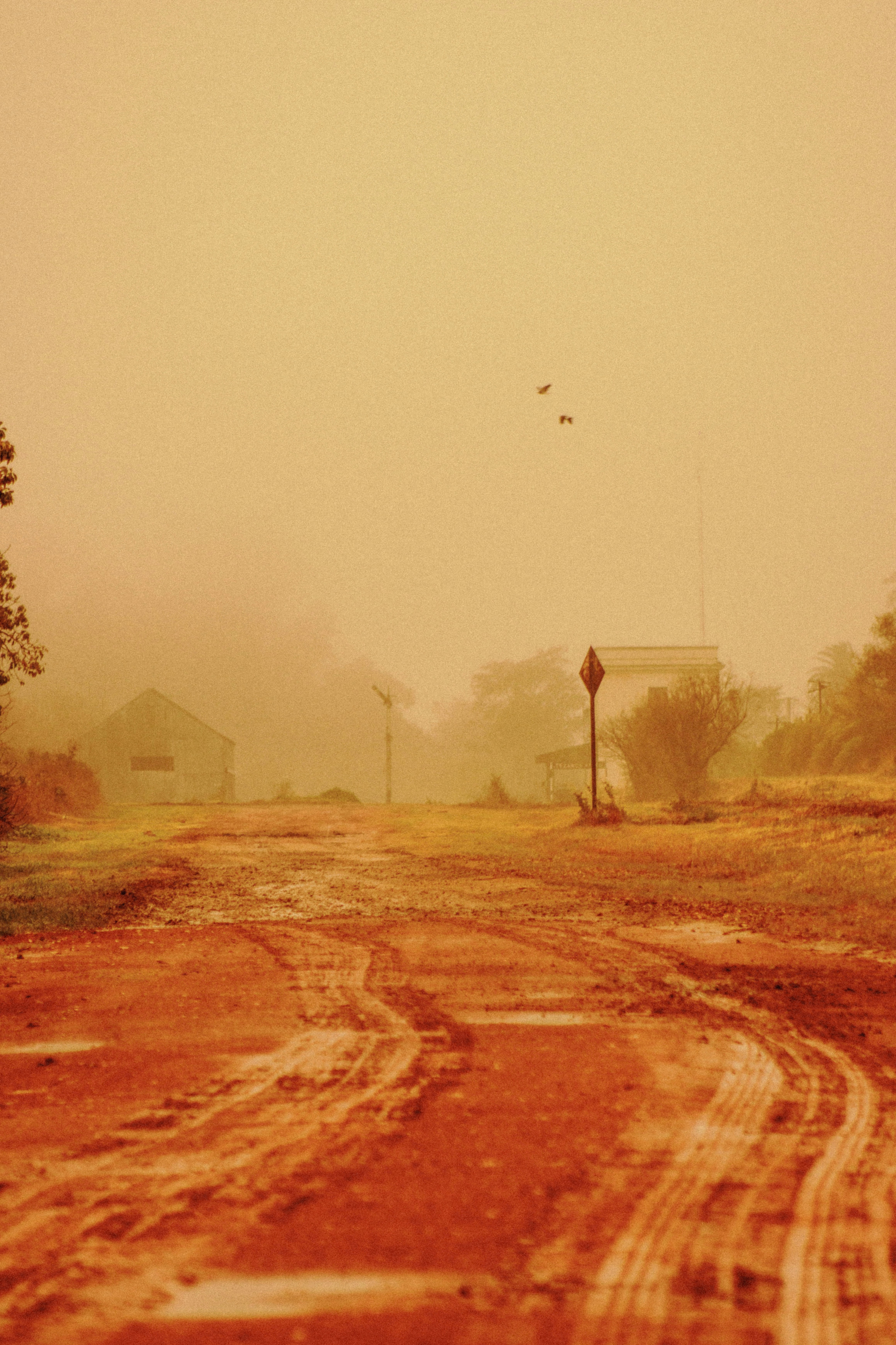 brown house near green trees during daytime