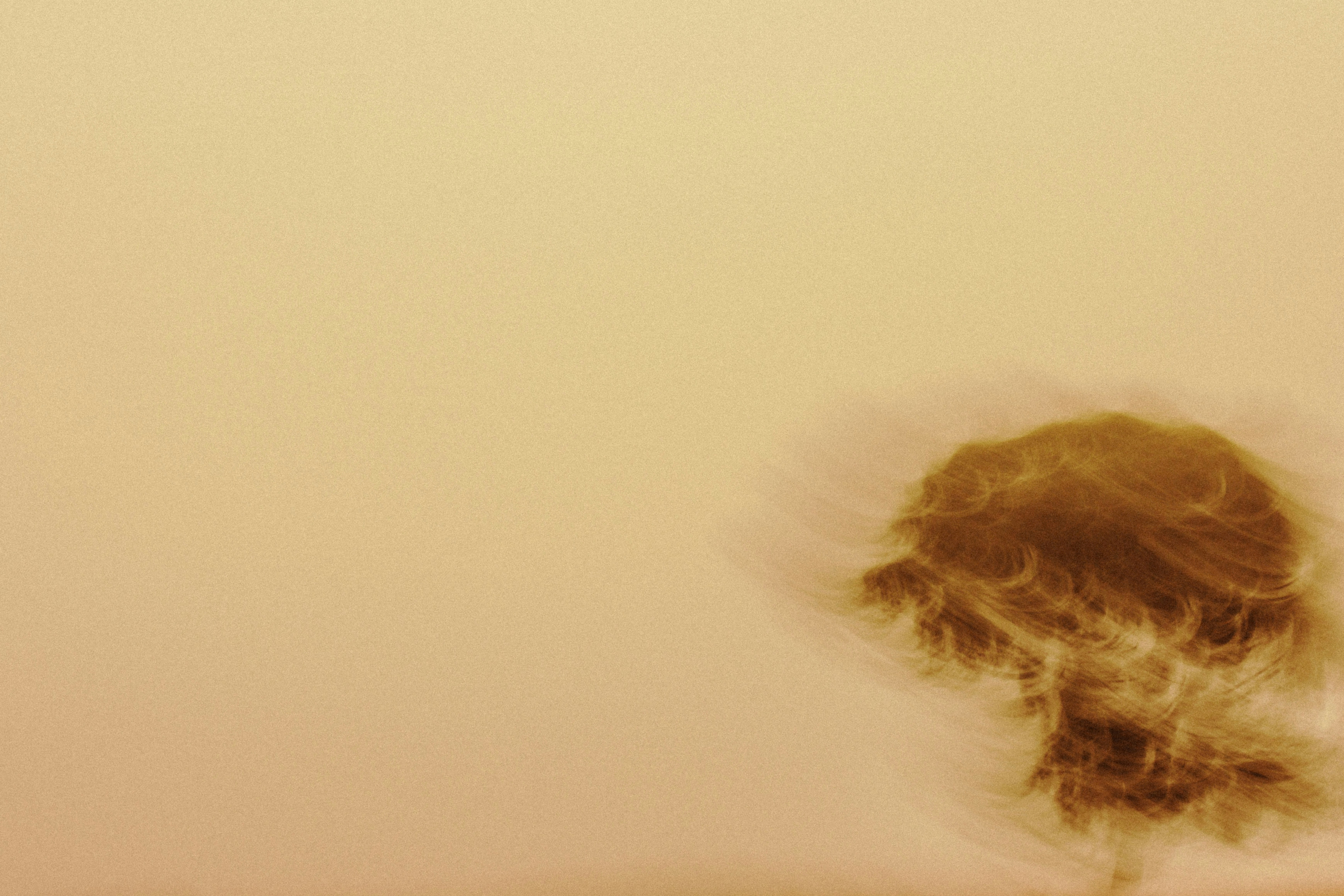 brown hair on white textile