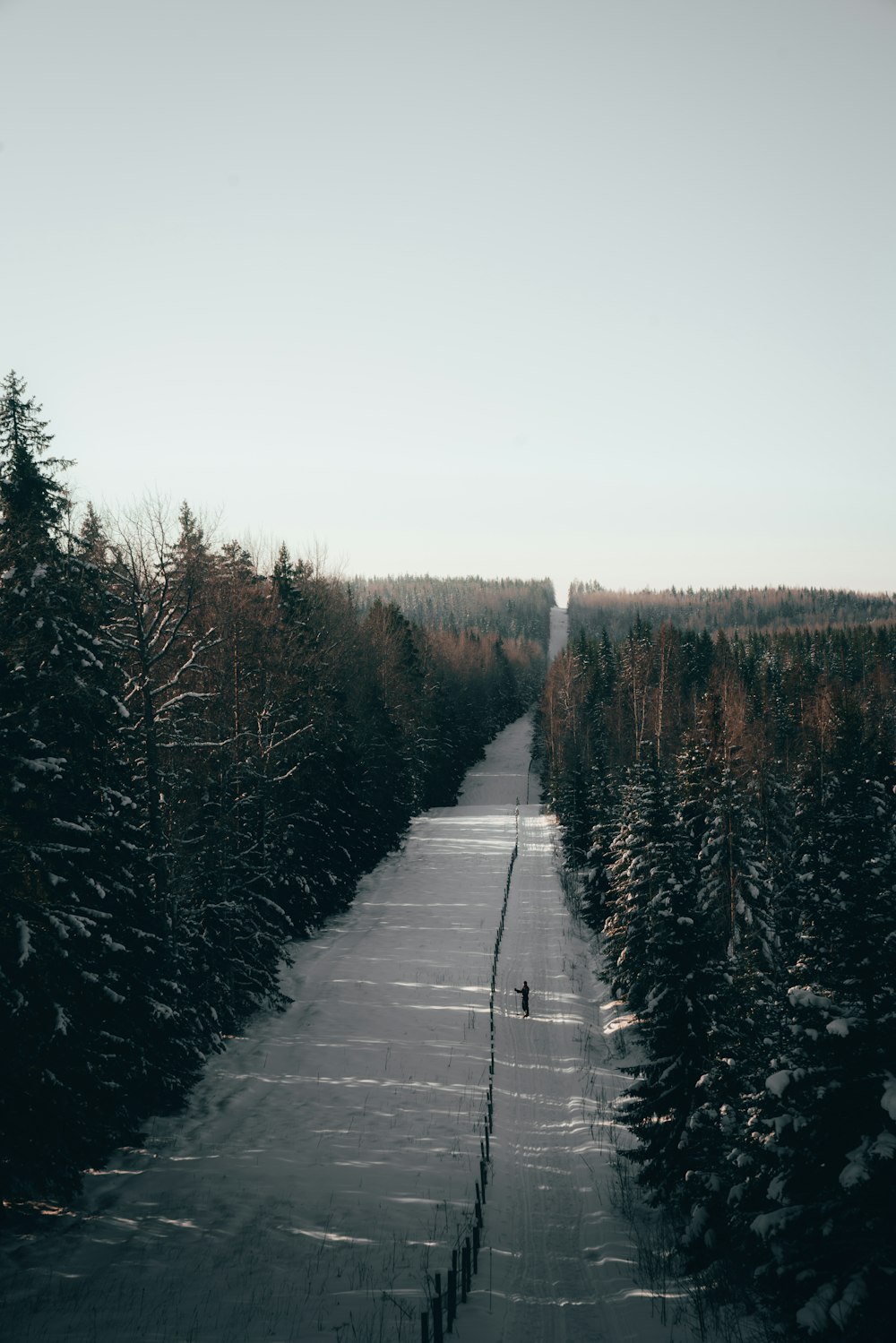 gray concrete road between trees during daytime