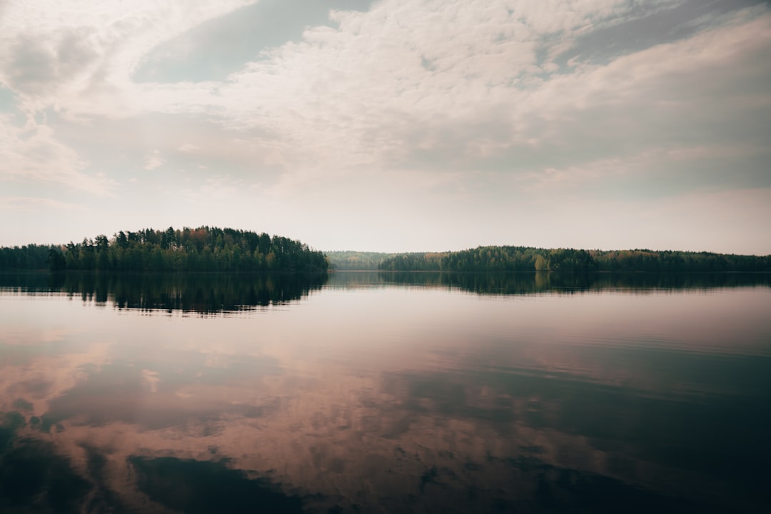 green trees near body of water under white clouds during daytime