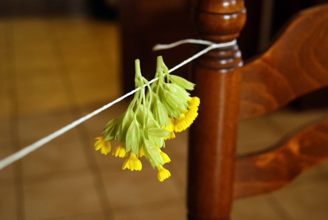 yellow flower on brown wooden table