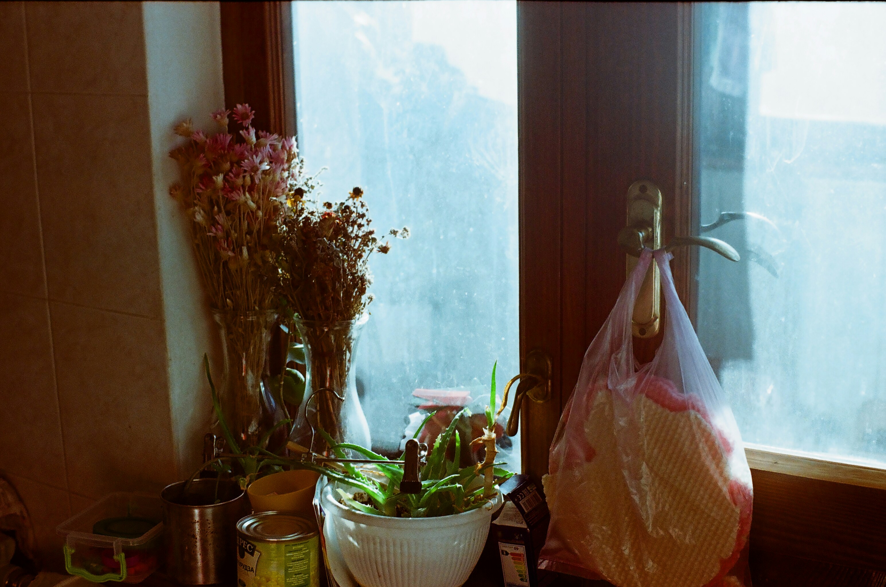 Photo by sashamatveeva