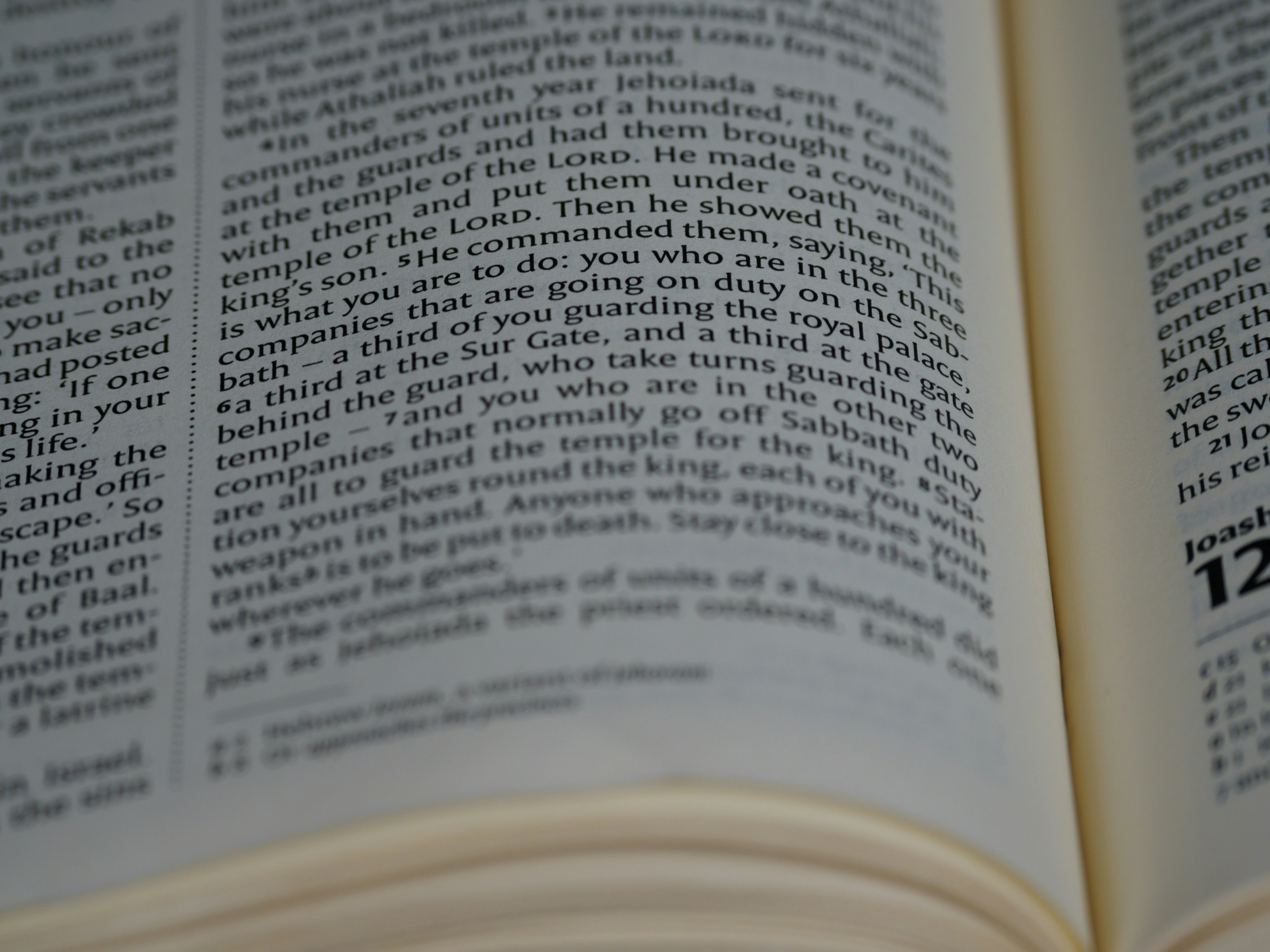 Photo by brett_jordan