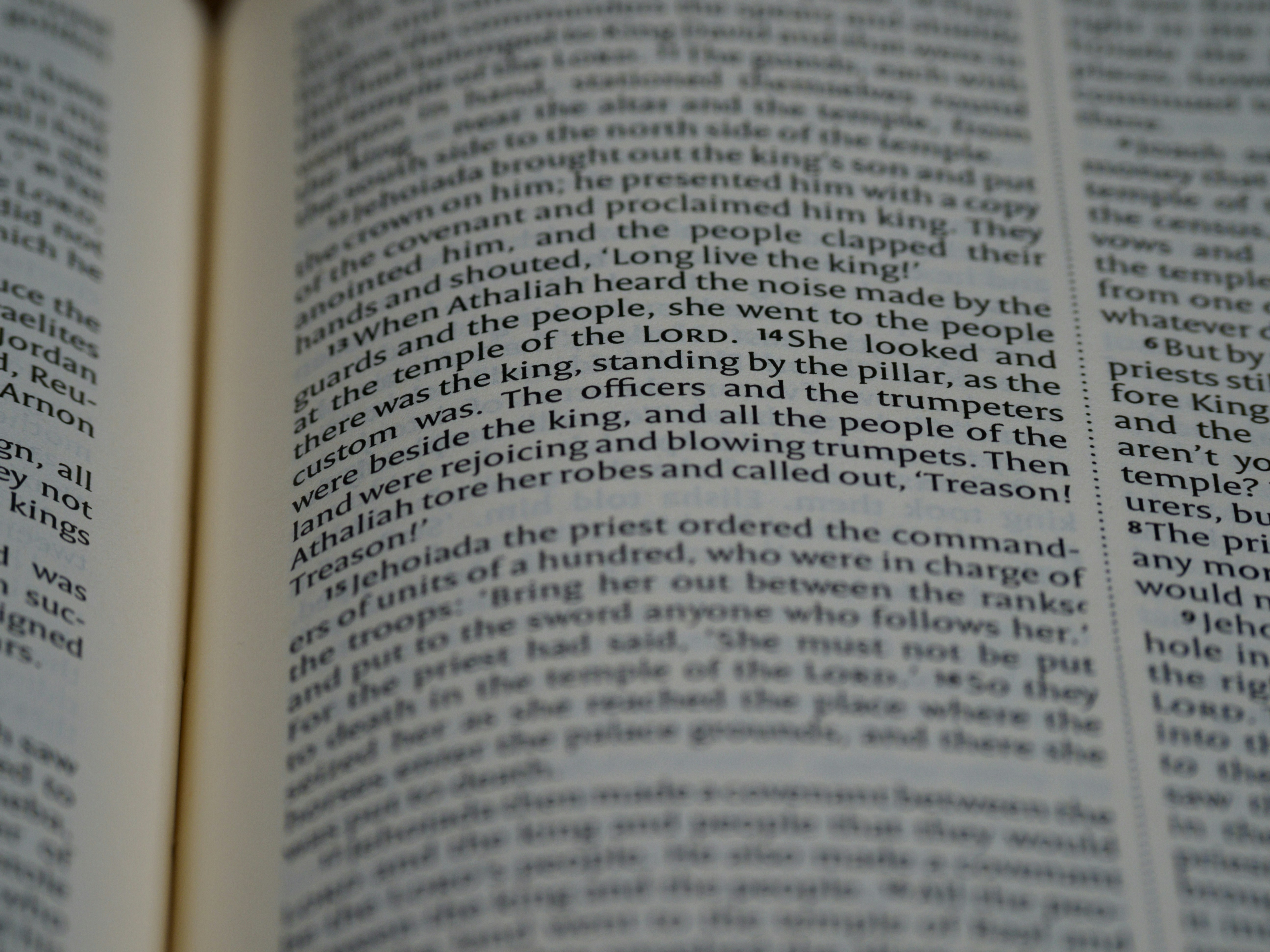 Photo by brett_jordan