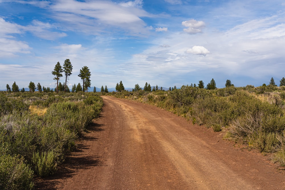 brown dirt road between green grass under blue sky during daytime