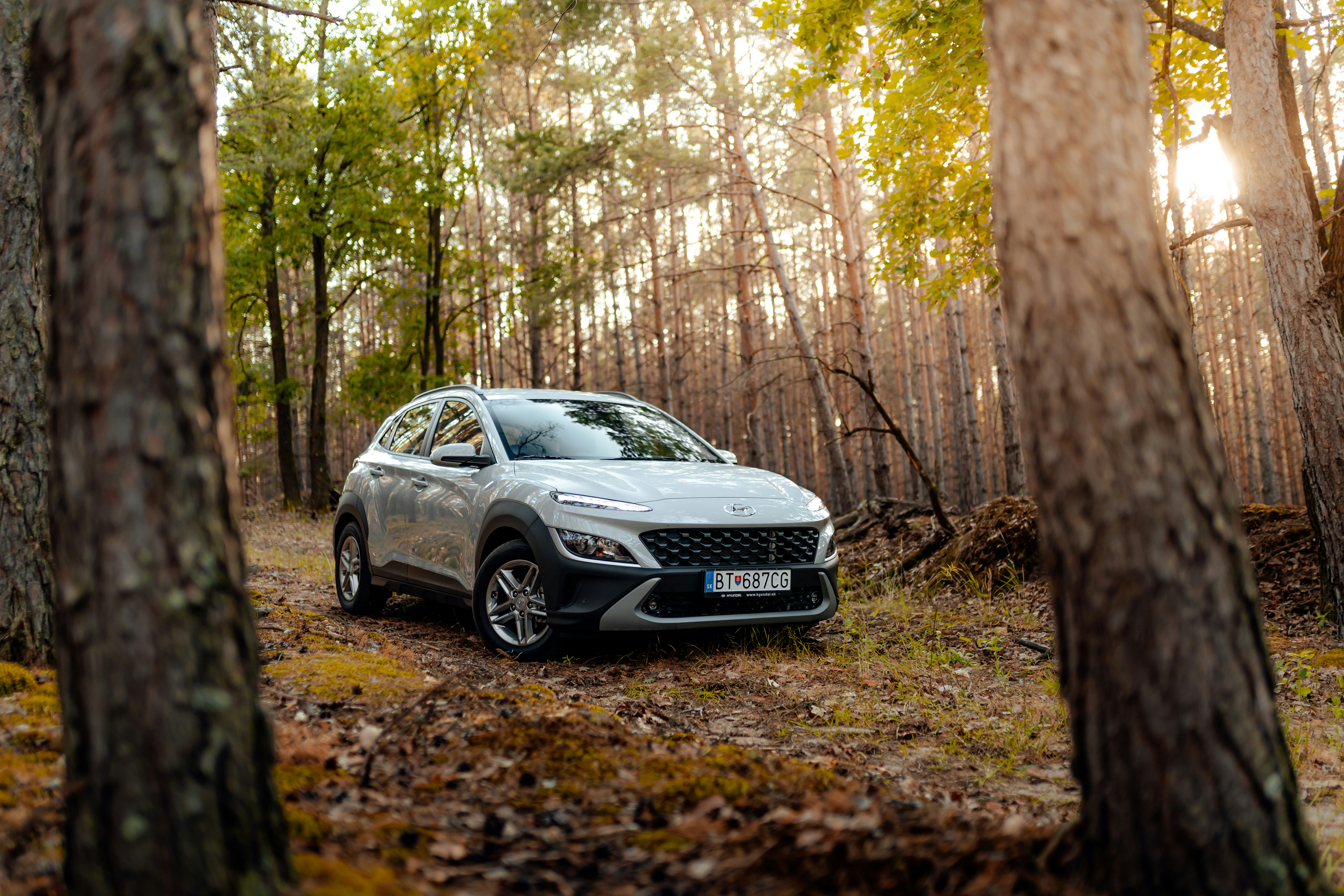 silver mercedes benz coupe on forest during daytime