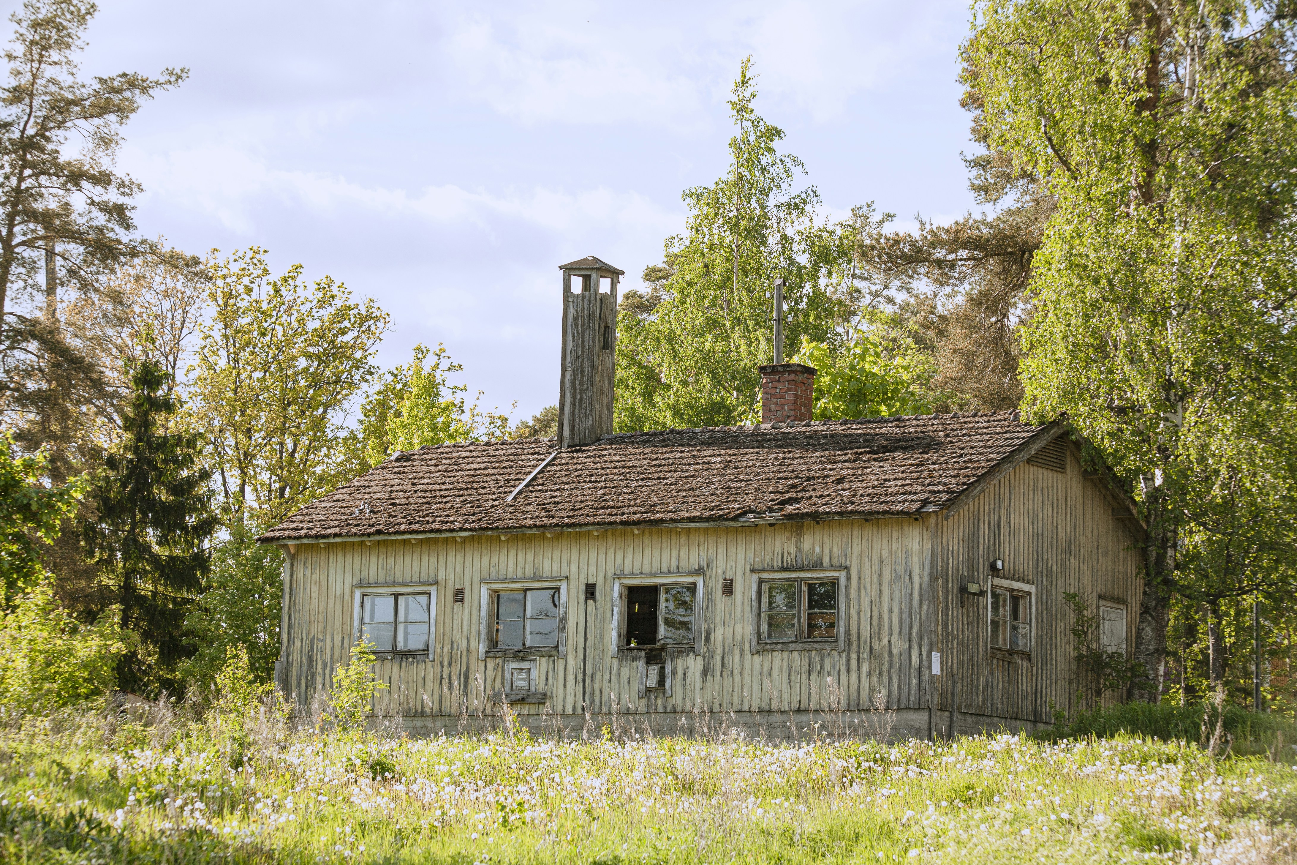 Photo by das_walross