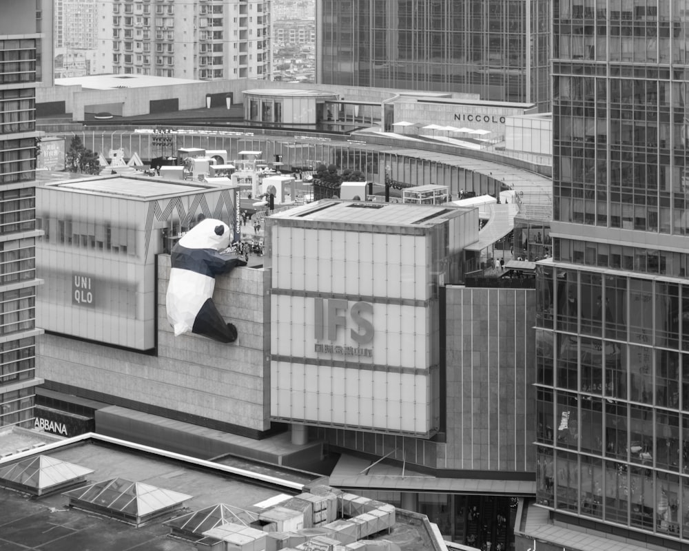 man in white t-shirt and black pants sitting on the edge of a building