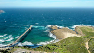 aerial view of green and brown land near body of water during daytime