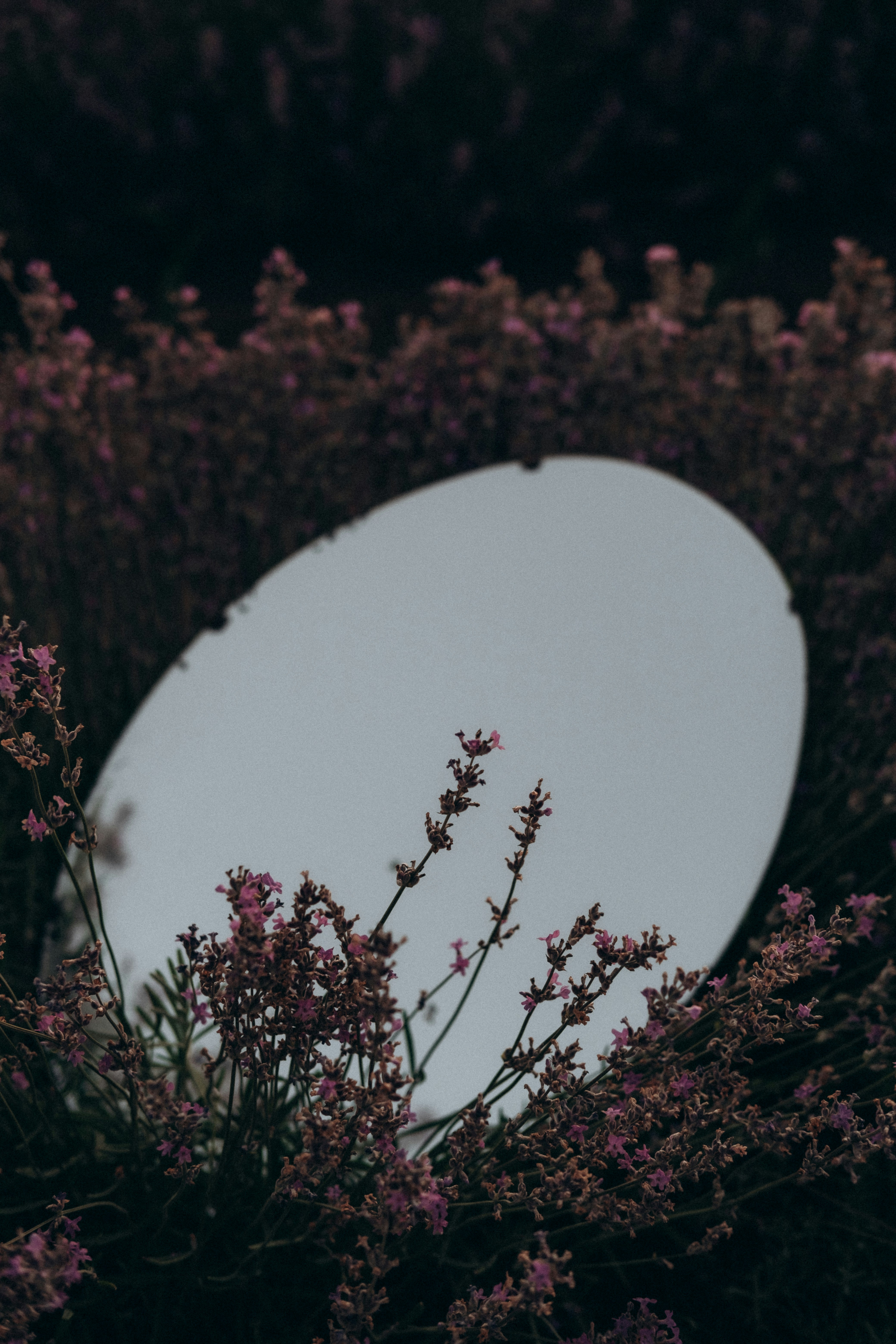 Photo by yana_hurska