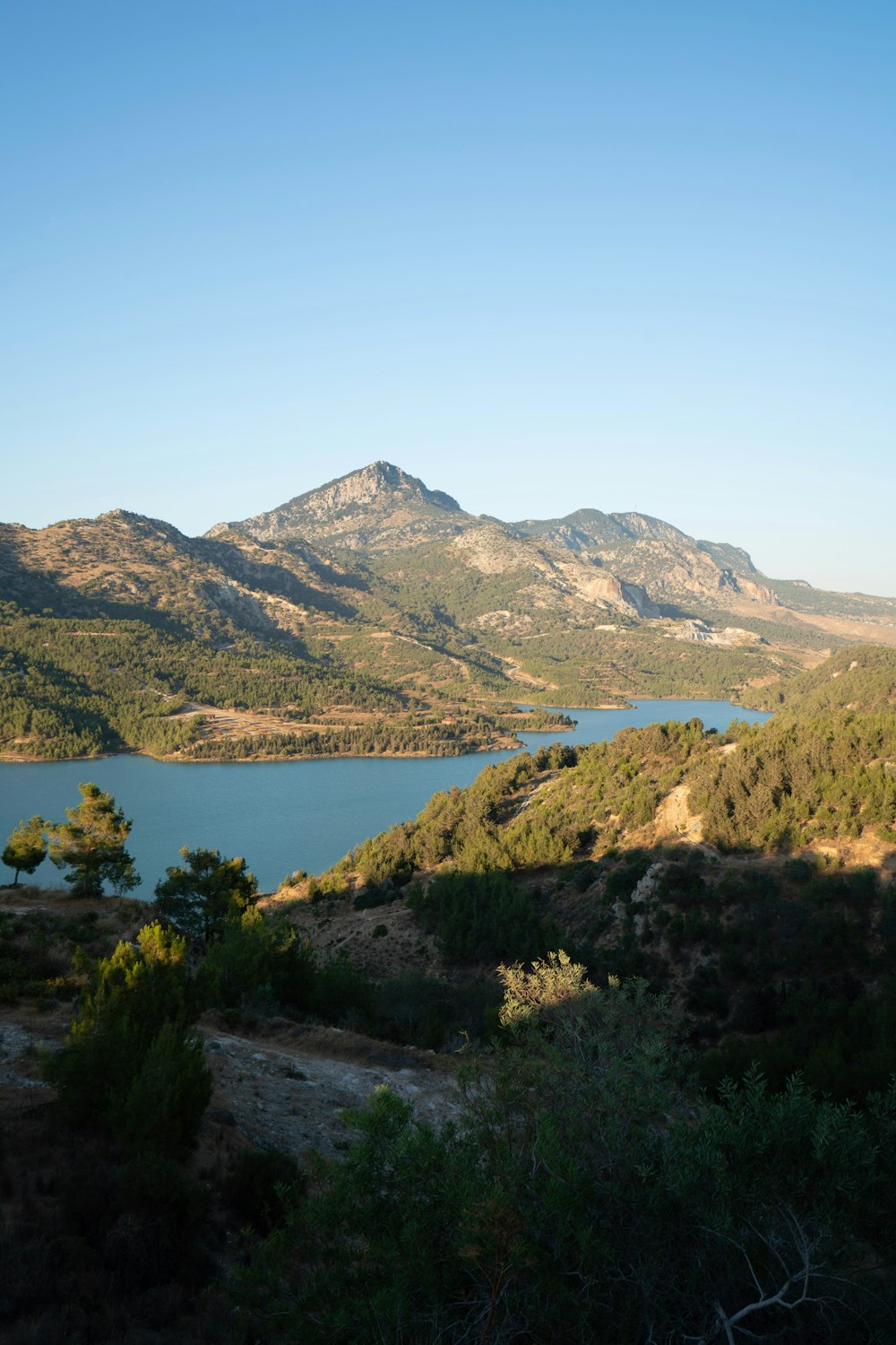 green trees near lake and mountains during daytime