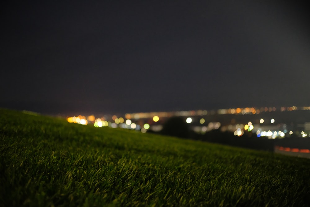 green grass field with lights during night time