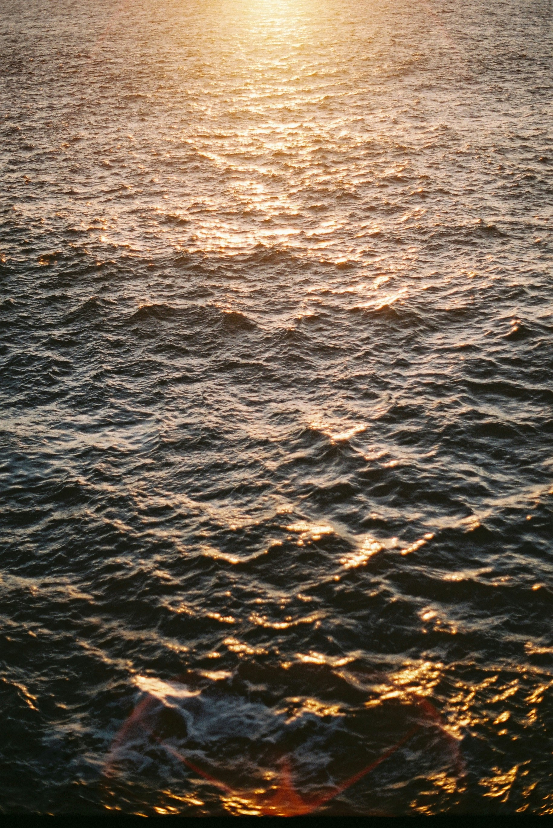 Photo by carlosjmartin