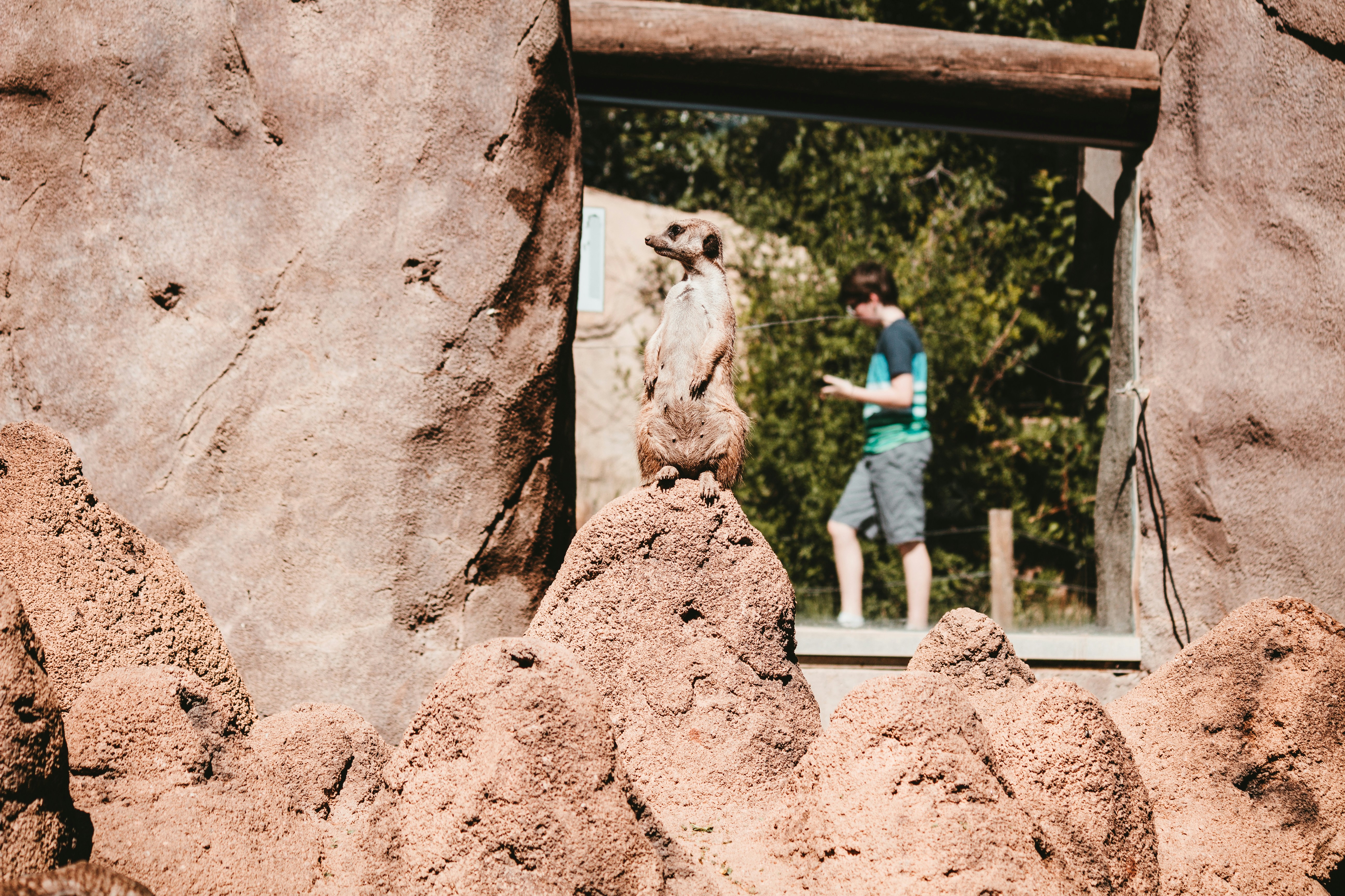man in blue t-shirt and blue shorts standing beside brown rock during daytime
