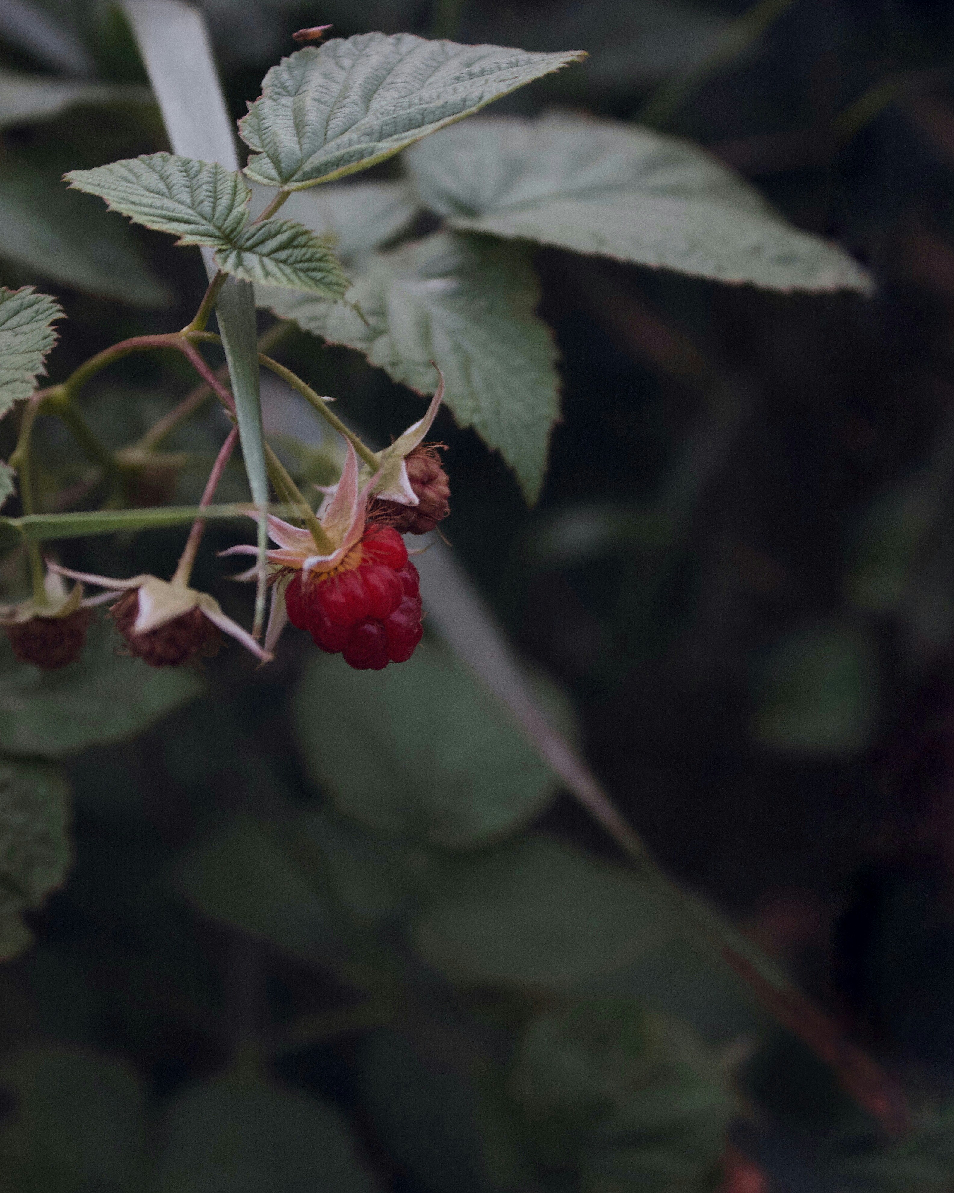 Photo by svitlana_rusak