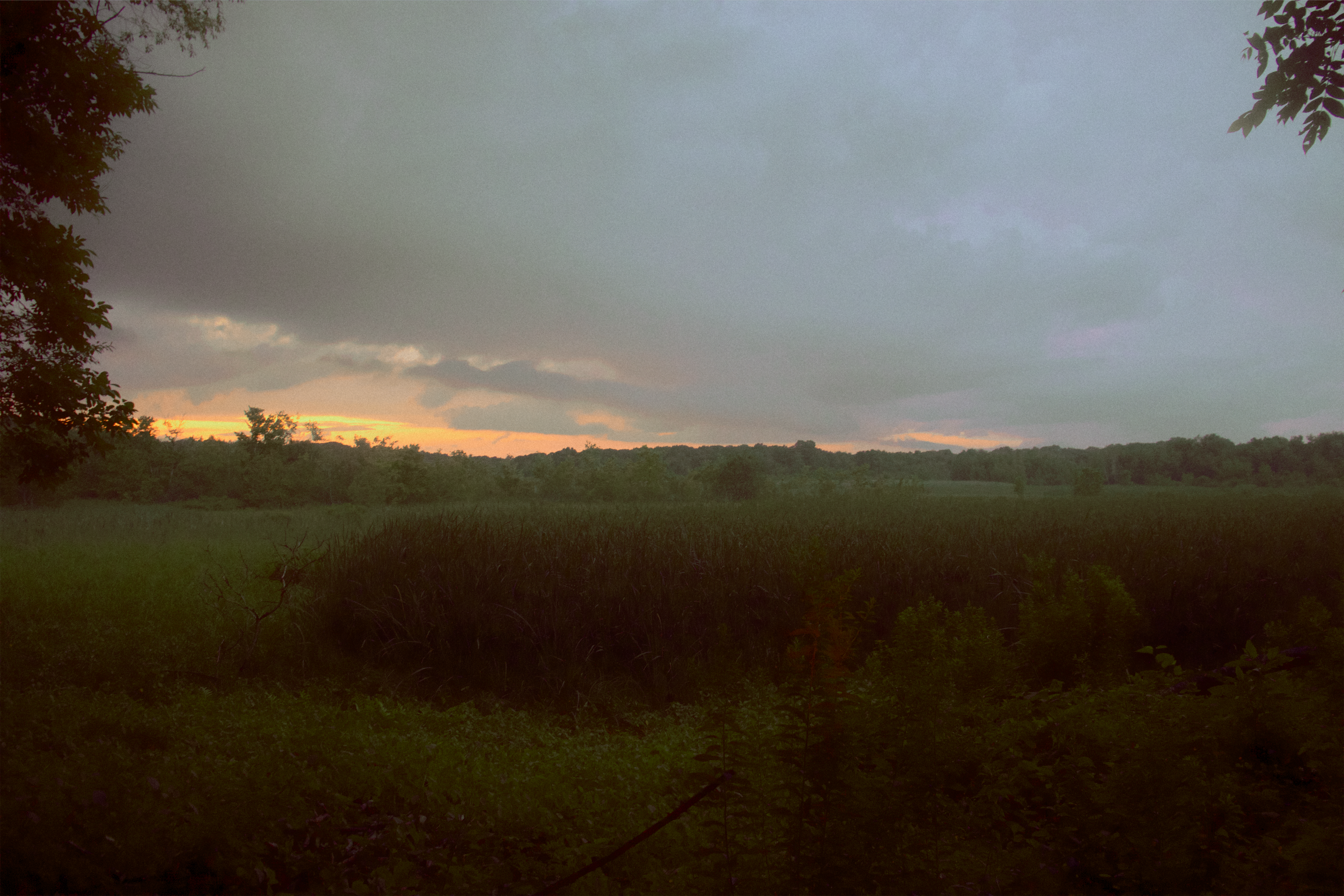 Photo by yiquanzhang