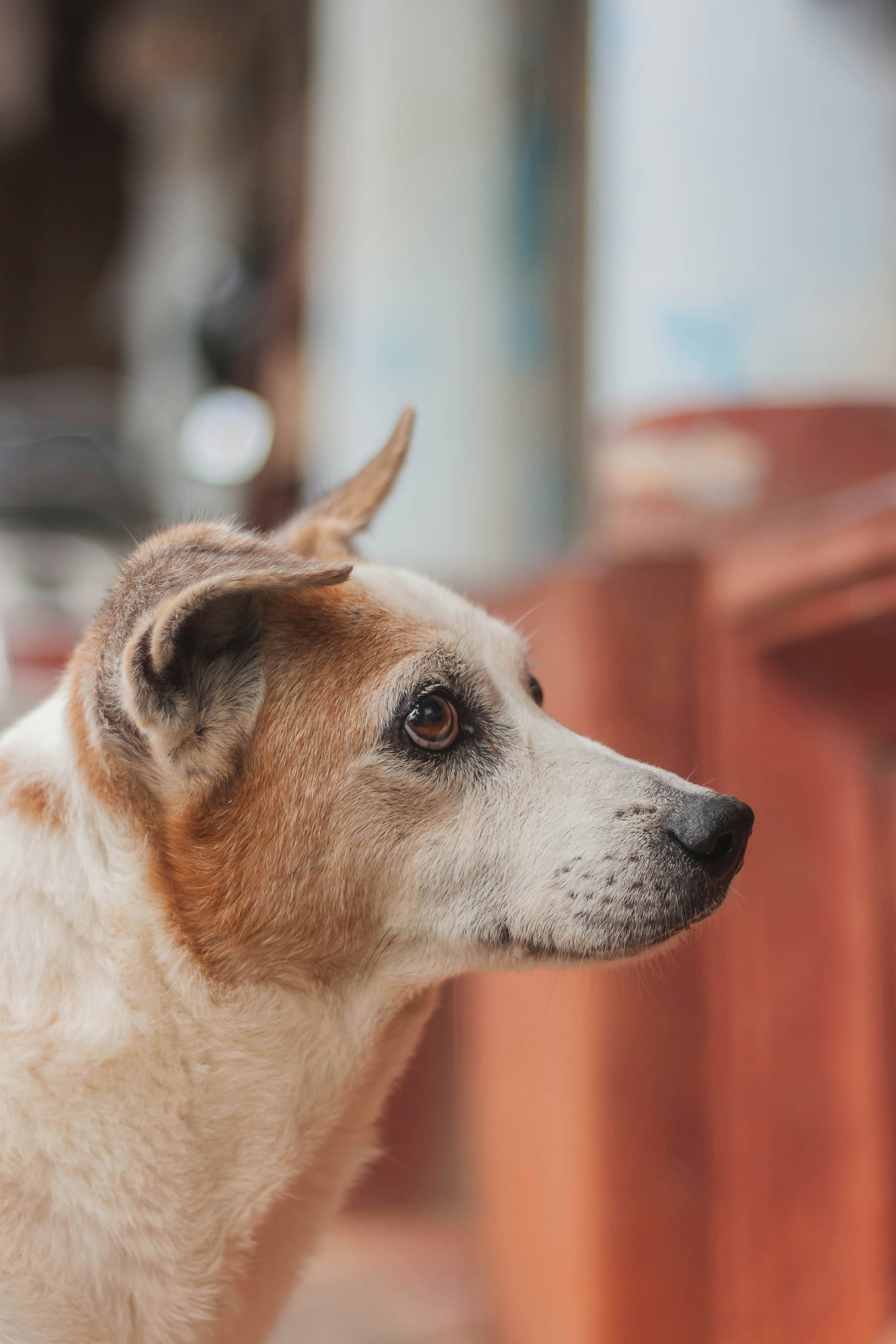 Photo by theshreeshabhat