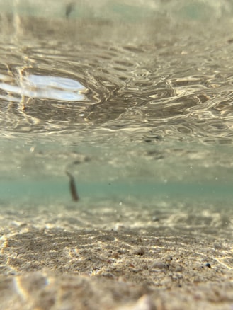 The image captures an underwater scene showing a sandy bottom with small stones and debris scattered. Gentle ripples are visible on the water’s surface, creating a wavy pattern. The water appears clear, allowing the sunlight to penetrate and create subtle reflections on the sand.